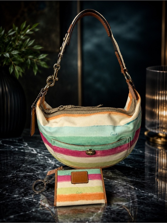 Coach Handbags - Coach Multicolor Striped Canvas Shoulder Hobo & Matching Card Holder | Y2K